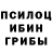 Псилоцибиновые грибы ЛСД Ineta Lagzdina