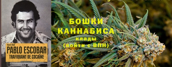 индика Алзамай