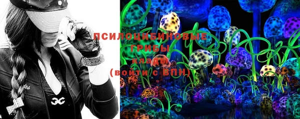индика Алзамай