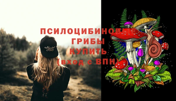 прущий лед Арсеньев