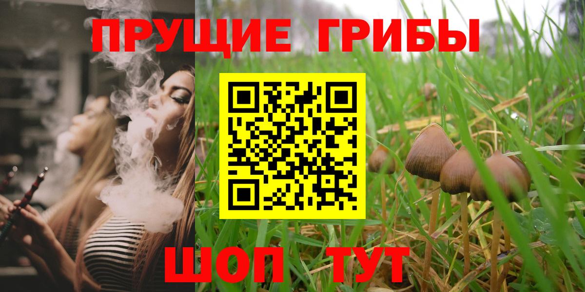 Псилоцибиновые грибы Psilocybine cubensis  Вход с VPN  Набережные Челны 